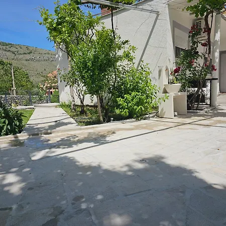 Olive Roots Yard House *