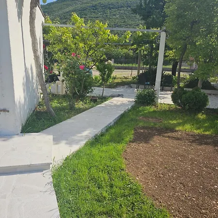 Olive Roots Yard House * تريبينيي
